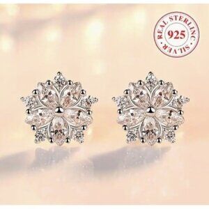 Platinum Sterling Silver Diamond Simulated Zircon Stud Earrings